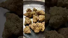 Pain Patient Video Thumbnail