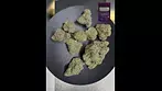 4C Labs  sundial  Alaskan Thunder Fuck (ATD) 29 THC