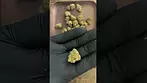 Pt2  cake and caviar grow  waffle bites #fyiシ゚viral #winning #viralvideo #ukcannabis #amsterdam #420