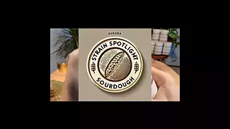 Aurora Sourdough Strain Spotlight  Unique Flavour & Potent Effects! #Cannabis #Vape #harmreduction