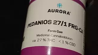 aurora t27 farm gas UK medical flower