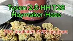 TYSON 2.0 HH T28 Haymaker Haze review