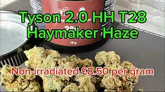 TYSON 2.0 HH T28 Haymaker Haze review