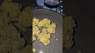 Emergen-C Good Supply Reserve UK Medical Flower First Impressions