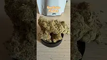 Doc Green Bud Video Thumbnail