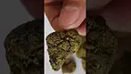 curaleaf Tripoli 20% THC flower, UK Medical cannabis from Mamedica.