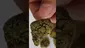 Video Thumbnail: My Medical 420