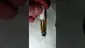 Video Thumbnail: WestPacks420