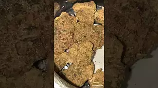 Green Karat | Modified Gas T27 |  UK Medical #cannabiseducation #medicalcannabisuk