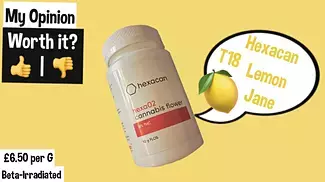Hexacan T18 Lemon Jane Uk Medical Review