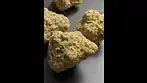 Permanent Marker T28 | NUGS #ukmedicalcannabis #strainreview #cannabiscommunity #cannabiseducation