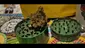Video Thumbnail: Keep Blazing Stay Amazing
