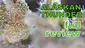 Video Thumbnail: Smacksalad
