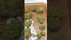 Seed Junky Permanent Marker out the bag