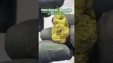 Review Budd Video Thumbnail