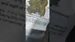 Video Thumbnail: Concanna