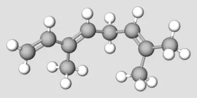 Ocimene Terpene Compound Representation