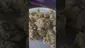 Video Thumbnail: Eazypax420