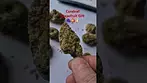 Curaleaf - Grapefruit Gift (18%)(UK Medical Cannabis Prescription)