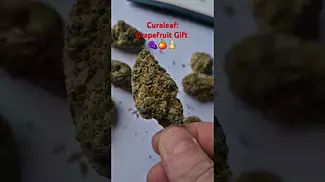 Curaleaf - Grapefruit Gift (18%)(UK Medical Cannabis Prescription)