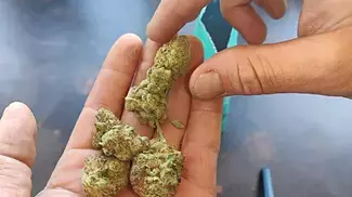 Sitka Legends - Kims Sweet diesel review.