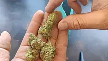 CannaChris Video Thumbnail