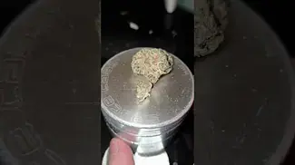 All Nations PNE T27 - Pineapple Express - UK Medical Cannabis Flower Review