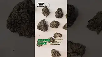 Coffee Cake by Cake & Caviar Organic UK MEDICAL THC-27% BN-CURA00196461 ED-03-03-26