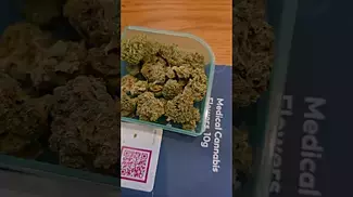 Curaleaf gg4