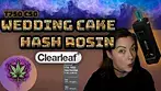 Wedding Cake Hash Rosin Test + Review