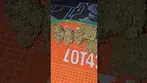 Green Karat JMO Zkittlez UK Medical Flower First impressions