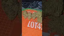 Eazypax420 Video Thumbnail