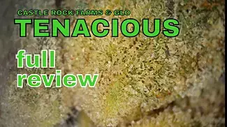TENACIOUS | Castle Rock Farms & Glo | FULL REVIEW