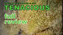 Smacksalad Video Thumbnail