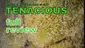 Video Thumbnail: Smacksalad