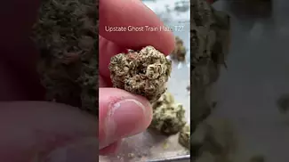 Upstate Ghost Train Haze T27 Review #ukmedicalcannabis #medicalcannabis