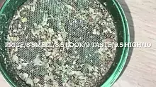 BabyzBudz Video Thumbnail