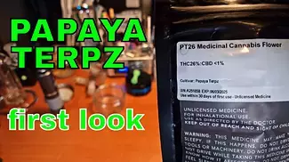 PAPAYA TERPZ | Terpz & Cuntourage | FIRST LOOK