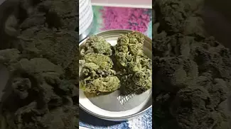 Green kush 25% UK Releaf Medical Cannabis