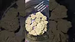 Big narstie pink gasoline  22% thc uk medical