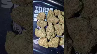 CURALEAF LA KUSH CAKE (UK PRESCRIPTION MEDICATION)
