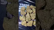 PrescribedBouquet Video Thumbnail