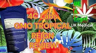 4c Labs GMO Tropical Reign Medical Cannabis Review UK 
