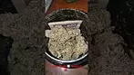 Glitter Bomb  Big Narstie herbal flower medical ukcannanismedicalpatient bignarstiemedical