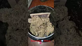 Glitter Bomb  Big Narstie herbal flower medical ukcannanismedicalpatient bignarstiemedical