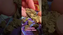 Doc Green Bud Video Thumbnail