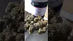 Grow Pharma Platinum PL T27 Pink Lilac Medical Cannabis Flower