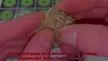 BabyzBudz Video Thumbnail