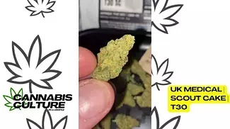 UK MEDICAL | UPSTATE SC - SCOUT CAKE | T30
