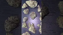 CheeseMon4 Video Thumbnail
